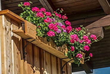 Appartamento a Badia - Giardino - ID foto 12