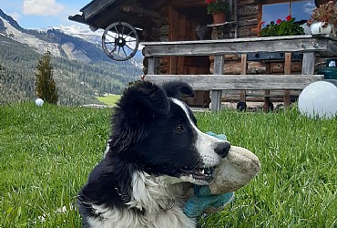 Appartamento a Badia - Varie - ID foto 25